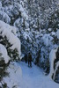 photo thumbnail #13