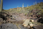photo thumbnail #7
