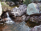 photo thumbnail #13