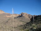 photo thumbnail #3