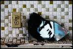 photo thumbnail #7