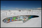photo thumbnail #8