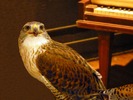 photo thumbnail #7