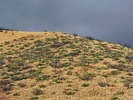 photo thumbnail #15