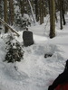 photo thumbnail #1