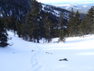 photo thumbnail #5