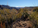photo thumbnail #6