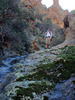 photo thumbnail #14