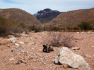 photo thumbnail #2