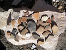 photo thumbnail #15