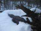 photo thumbnail #2