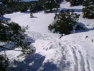 photo thumbnail #1