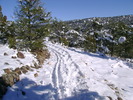 photo thumbnail #2