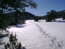 photo thumbnail #4