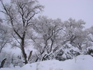 photo thumbnail #4