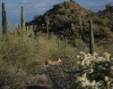 photo thumbnail #13