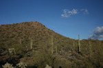 photo thumbnail #15