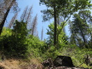 photo thumbnail #7