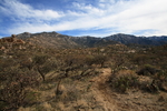 photo thumbnail #2