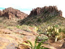 photo thumbnail #2
