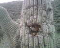 photo thumbnail #8
