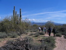 photo thumbnail #2