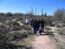 photo thumbnail #5