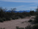 photo thumbnail #8