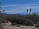 photo thumbnail #9