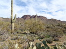 photo thumbnail #2