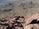 photo thumbnail #8