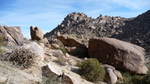 photo thumbnail #8