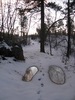 photo thumbnail #1