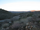 photo thumbnail #12