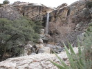 photo thumbnail #2
