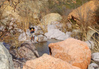 photo thumbnail #10