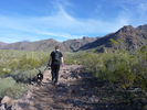 photo thumbnail #3