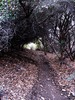 photo thumbnail #8
