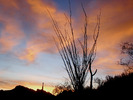 photo thumbnail #7