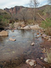 photo thumbnail #11