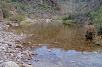 photo thumbnail #14