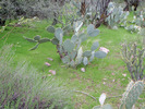 photo thumbnail #15