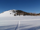 photo thumbnail #9