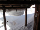 photo thumbnail #10