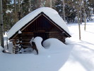 photo thumbnail #13