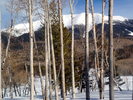 photo thumbnail #15