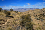 photo thumbnail #6