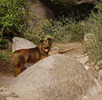 photo thumbnail #1