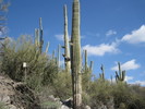 photo thumbnail #7