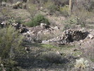 photo thumbnail #14